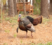 2014 04 27 WestwoodHills 009